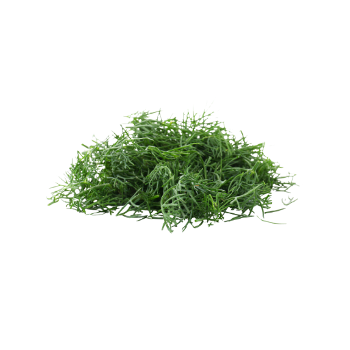 Pile of green artificial grass on a white background
