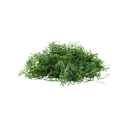 Pile of green artificial grass on a white background
