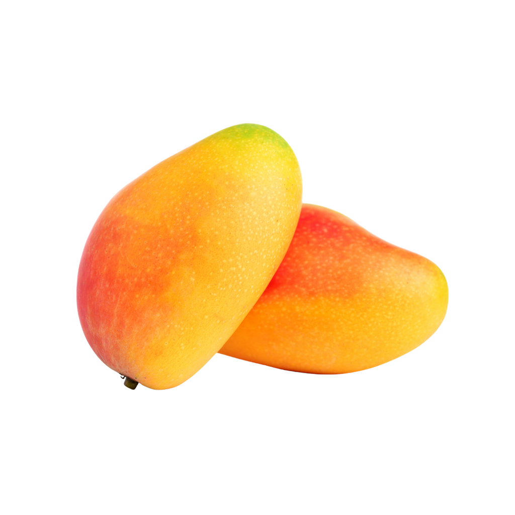 Two mangoes on a white background