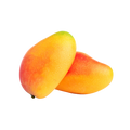 Two mangoes on a white background
