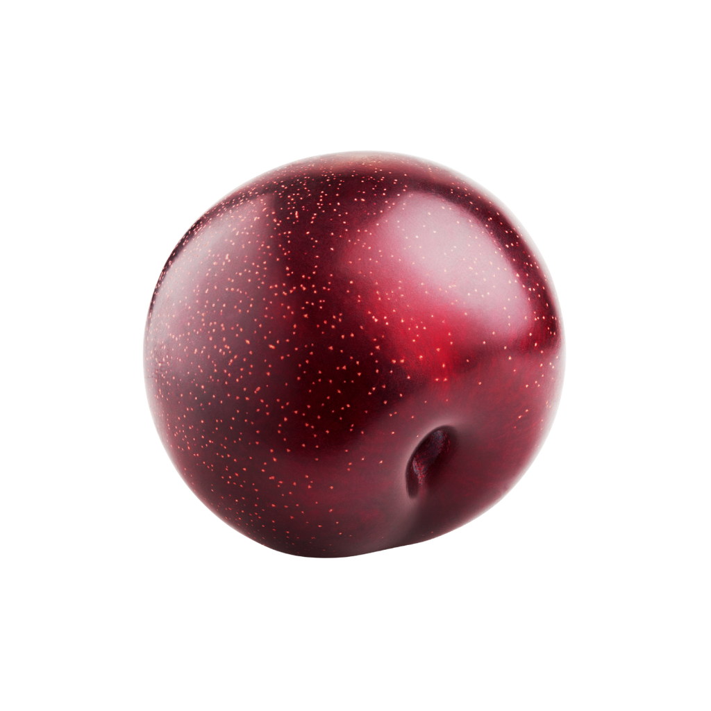 Red plum on a white background