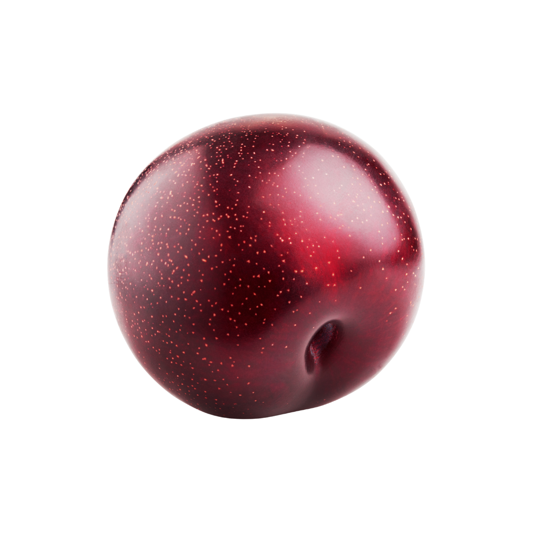 Dried plum
