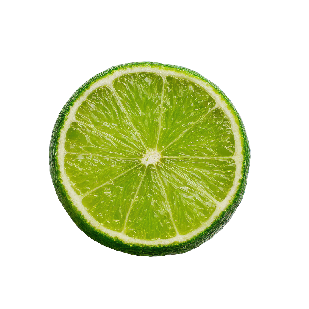 Half-cut lime on a white background