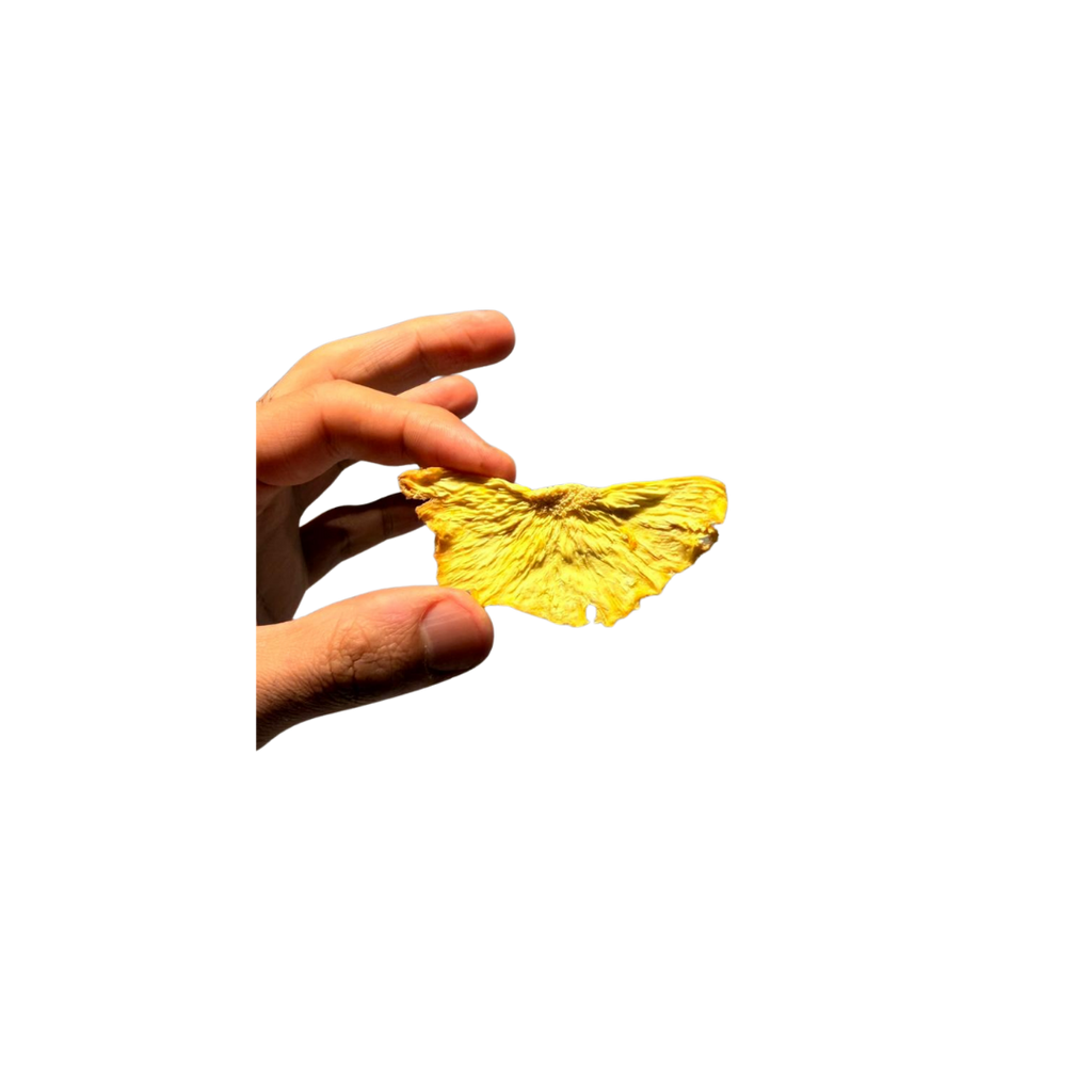 dried pineapple slice 