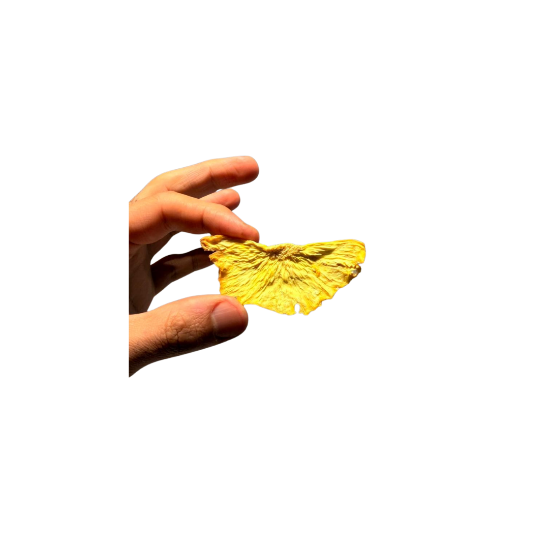 dried pineapple slice 
