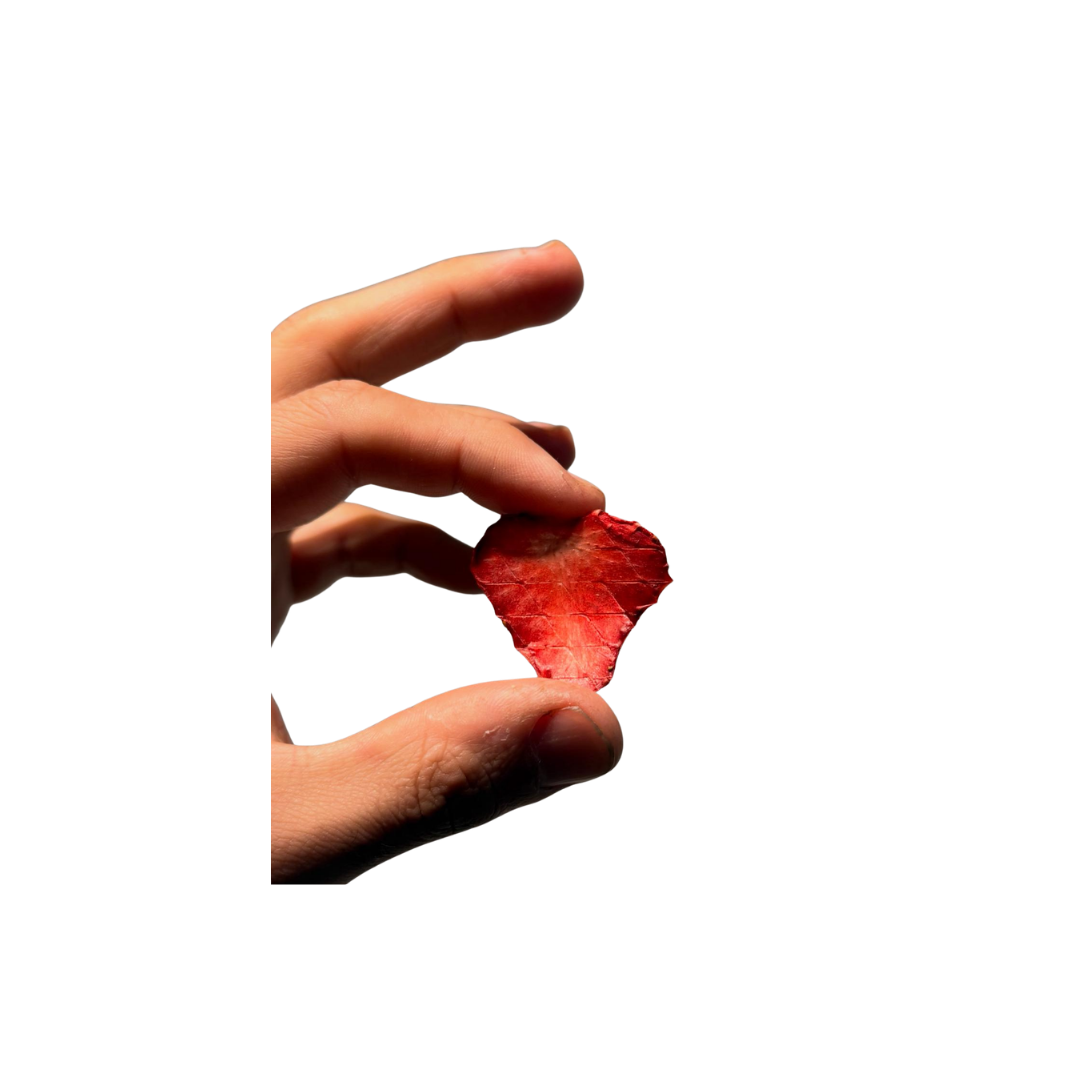 dried strawberry slice